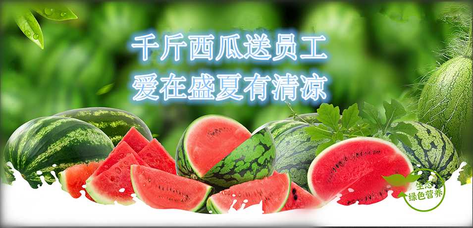 通達(dá)軟件公司： 千斤西瓜送員工，愛(ài)在盛夏有清涼